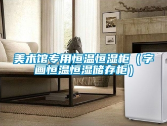 知識百科美術館專用恒溫恒濕柜（字畫恒溫恒濕儲存柜）