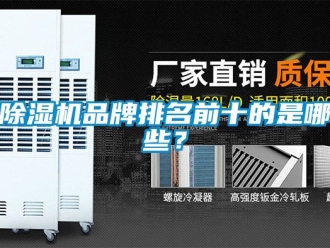 企業新聞除濕機品牌排名前十的是哪些？