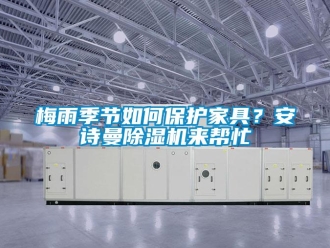 企業新聞梅雨季節如何保護家具？安詩曼除濕機來幫忙