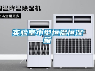 知識百科實驗室小型恒溫恒濕箱