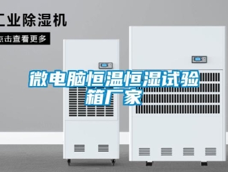 知識百科微電腦恒溫恒濕試驗箱廠家