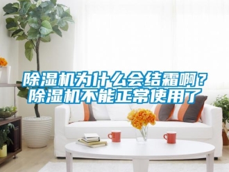 企業新聞除濕機為什么會結霜?。砍凉駲C不能正常使用了