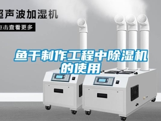 知識百科魚干制作工程中除濕機的使用