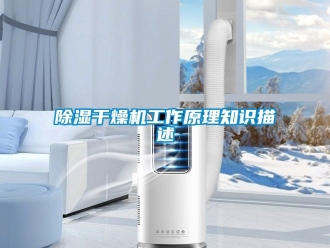 企業新聞除濕干燥機工作原理知識描述