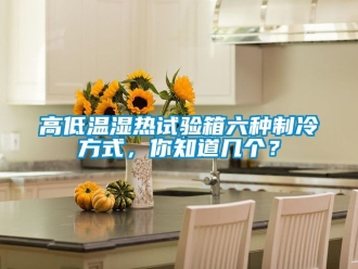 常見問題高低溫濕熱試驗箱六種制冷方式，你知道幾個？