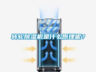 常見問題轉輪除濕機是什么原理呢？