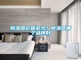 行業新聞除濕器價格多少？除濕器哪個品牌好