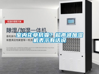 知識百科室內花草抗霾？超聲波加濕機表示有話說