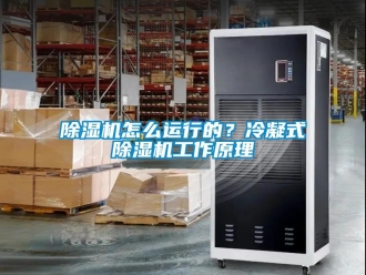 常見問題除濕機怎么運行的？冷凝式除濕機工作原理