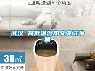 常見問題武漢 高低溫濕熱交變試驗箱
