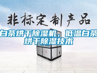 常見問題白茶烘干除濕機，低溫白茶烘干除濕技術
