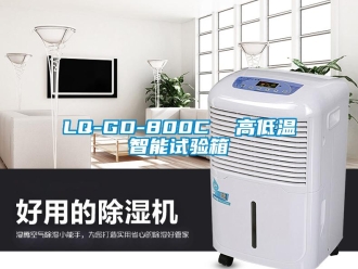常見問題LQ-GD-800C  高低溫智能試驗箱