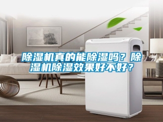 行業新聞除濕機真的能除濕嗎？除濕機除濕效果好不好？