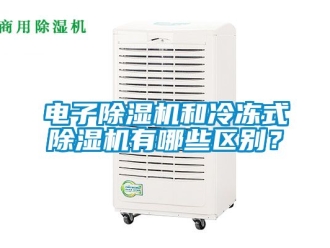 行業新聞電子除濕機和冷凍式除濕機有哪些區別？