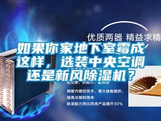 行業新聞如果你家地下室霉成這樣，選裝中央空調還是新風除濕機？