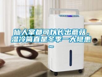 知識百科仙人掌都可以長出蘑菇，濕冷簡直是冬季一大隱患~