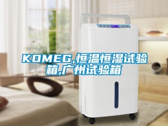 常見問題KOMEG,恒溫恒濕試驗箱,廣州試驗箱