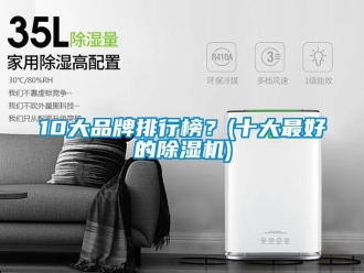企業新聞10大品牌排行榜？(十大最好的除濕機)