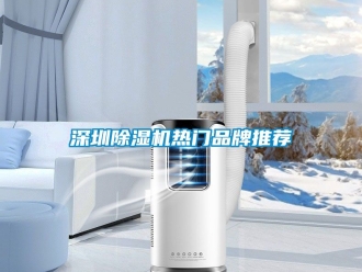 企業新聞深圳除濕機熱門品牌推薦