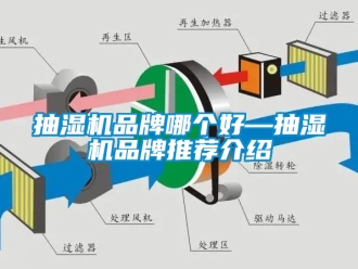 企業新聞抽濕機品牌哪個好—抽濕機品牌推薦介紹