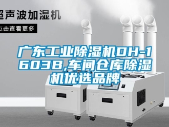 常見問題廣東工業除濕機DH-1603B,車間倉庫除濕機優選品牌