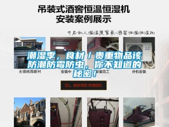 企業新聞潮濕季，食材／貴重物品該防潮防霉防蟲，你不知道的秘密！