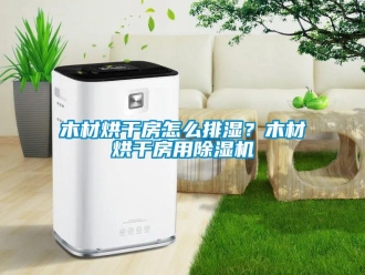 常見問題木材烘干房怎么排濕？木材烘干房用除濕機