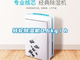 知識百科轉輪除濕機0.6kg／h