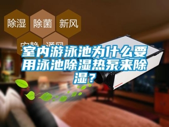 知識百科室內游泳池為什么要用泳池除濕熱泵來除濕？