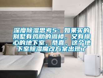 企業新聞深度除濕思考5：如果買的別墅有雞肋的閣樓，又有操心的地下室，恭喜，這個地下室除濕魔改方案出現了