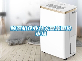 企業新聞除濕機企業壯大要靠國外市場