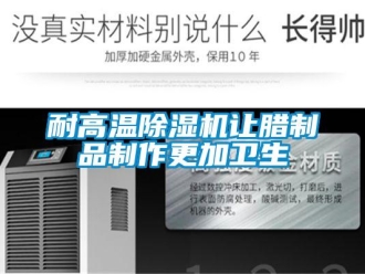 行業新聞耐高溫除濕機讓臘制品制作更加衛生