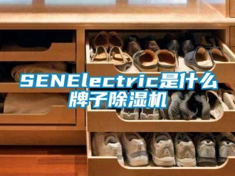 企業新聞SENElectric是什么牌子除濕機