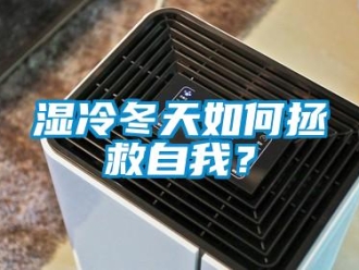 常見問題濕冷冬天如何拯救自我？
