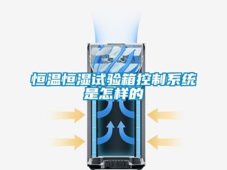 知識百科恒溫恒濕試驗箱控制系統是怎樣的