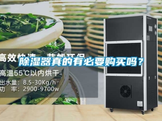 行業新聞除濕器真的有必要購買嗎？