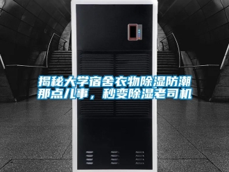 常見問題揭秘大學宿舍衣物除濕防潮那點兒事，秒變除濕老司機