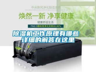 行業新聞除濕機工作原理有哪些 詳細的解答在這里