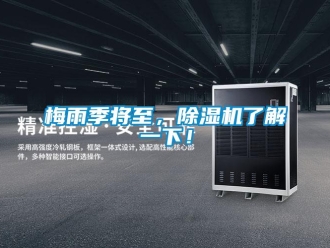 行業新聞梅雨季將至，除濕機了解一下！