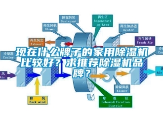 企業新聞現在什么牌子的家用除濕機比較好？求推薦除濕機品牌？