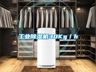 企業新聞工業除濕機30Kg／h
