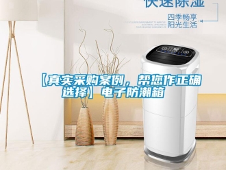 企業新聞【真實采購案例，幫您作正確選擇】電子防潮箱