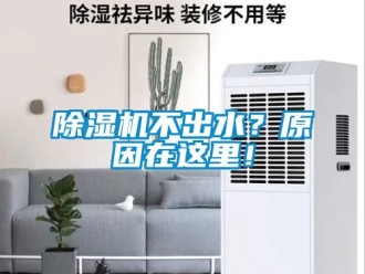 企業新聞除濕機不出水？原因在這里！