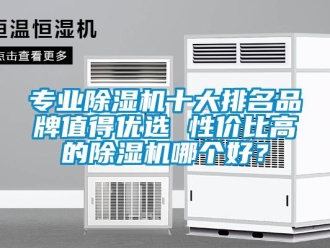 企業新聞專業除濕機十大排名品牌值得優選 性價比高的除濕機哪個好？