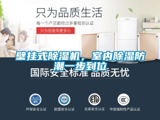 常見問題壁掛式除濕機，室內除濕防潮一步到位