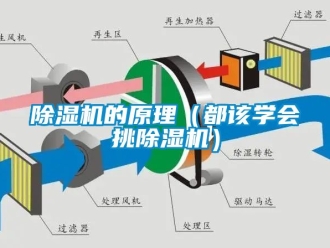 企業新聞除濕機的原理（都該學會挑除濕機）
