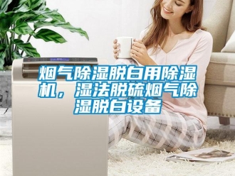 知識百科煙氣除濕脫白用除濕機，濕法脫硫煙氣除濕脫白設備