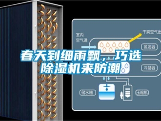 企業新聞春天到細雨飄，巧選除濕機來防潮