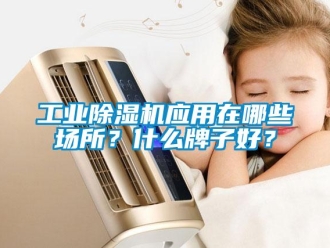 企業新聞工業除濕機應用在哪些場所？什么牌子好？