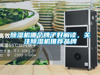 企業新聞除濕機哪個牌子好解讀，關注除濕機推薦品牌
